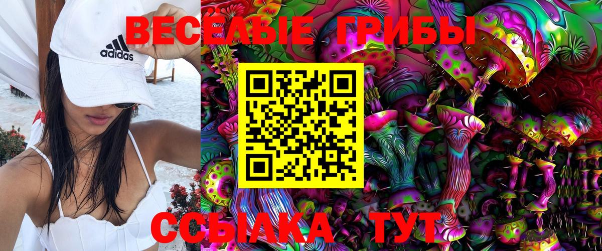 Галлюциногенные грибы ЛСД Ишим
